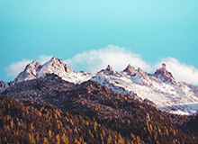 开云app-手游的魅力：在指尖开启无穷可能的日常探险