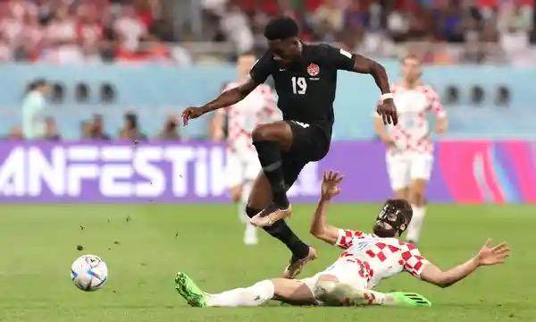 1718713861599022746.jpg 909a9eadc037094b445ace35a2dee53.jpg